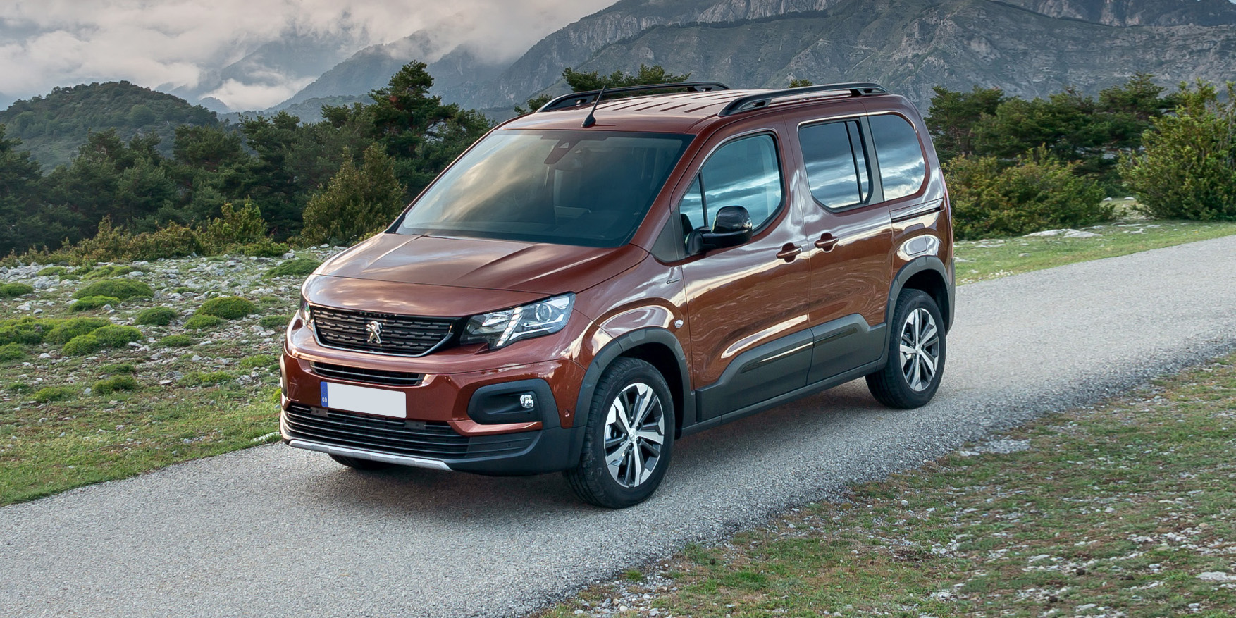 The top 10 best cars for dogs and dog owners carwow