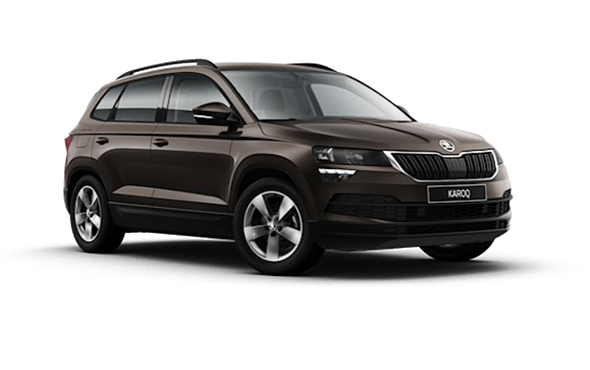 Magnetic brown skoda